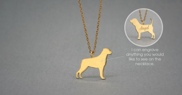 Rottweiler with gold on sale chain