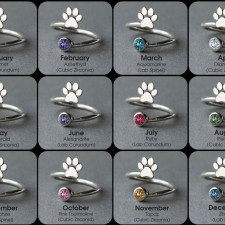 The Yorkie Ring Story: Crafting Love, Paw by Paw