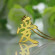 Your Name, Your Love: The Kanji Pendant Necklace Story