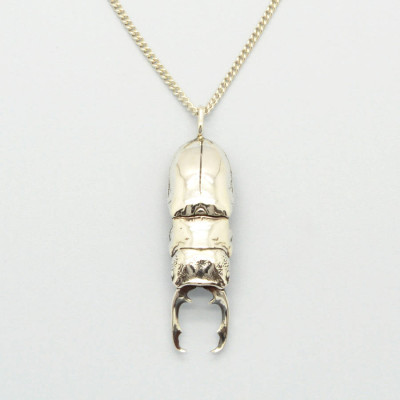 Stylish Silver Beetle Pendant Necklace